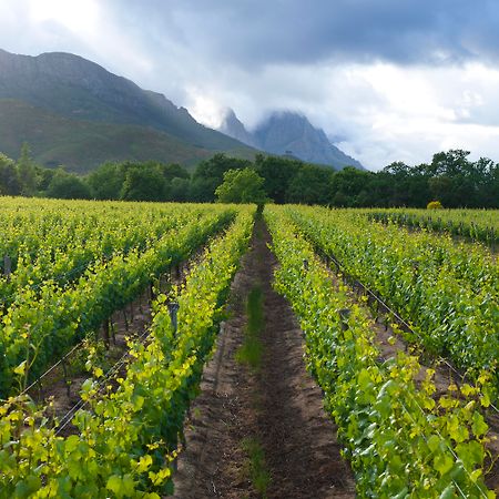 Lanzerac Hotel & Spa Stellenbosch Eksteriør bilde