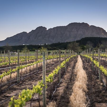 Lanzerac Hotel & Spa Stellenbosch Eksteriør bilde
