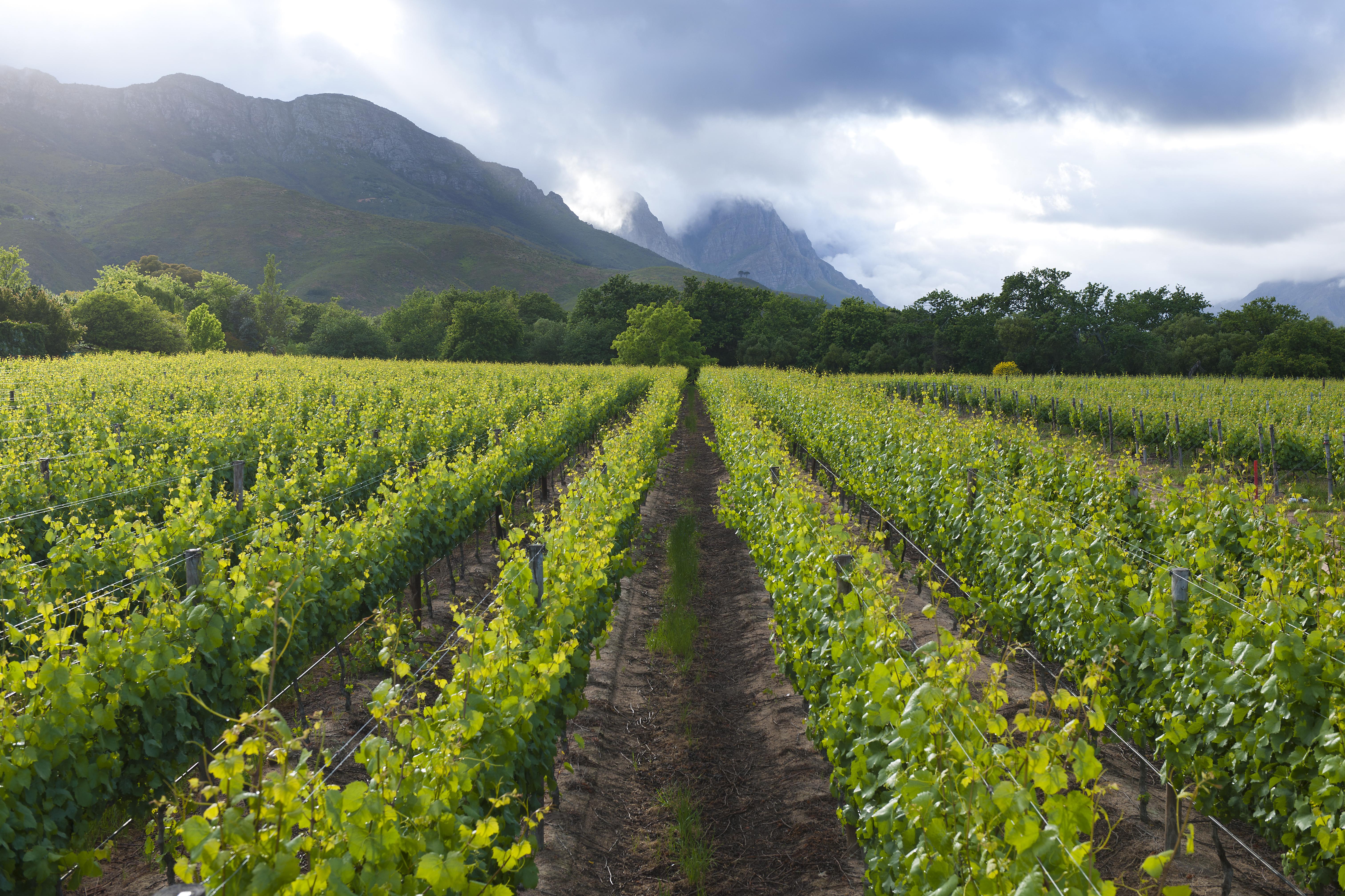 Lanzerac Hotel & Spa Stellenbosch Eksteriør bilde