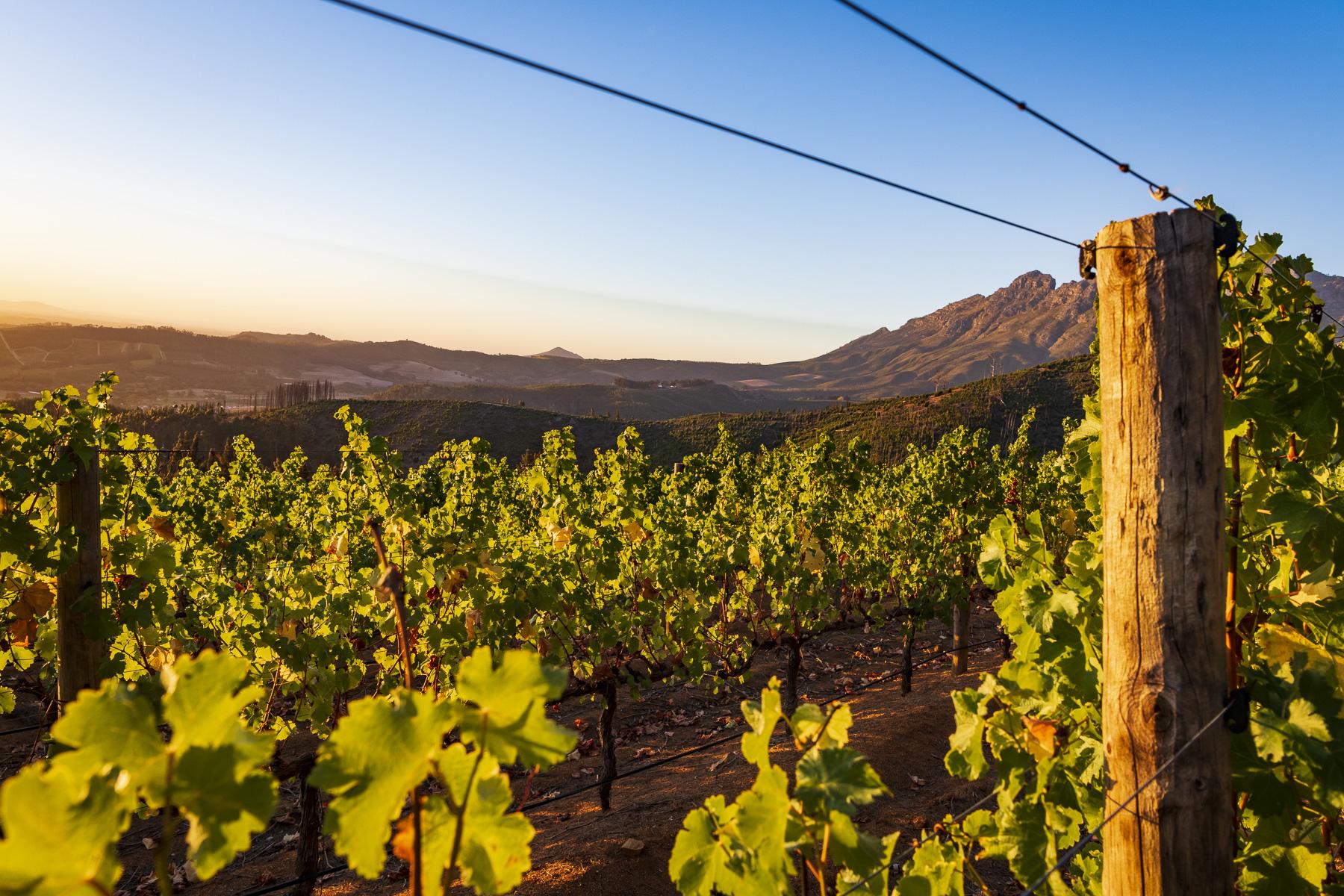 Lanzerac Hotel & Spa Stellenbosch Eksteriør bilde