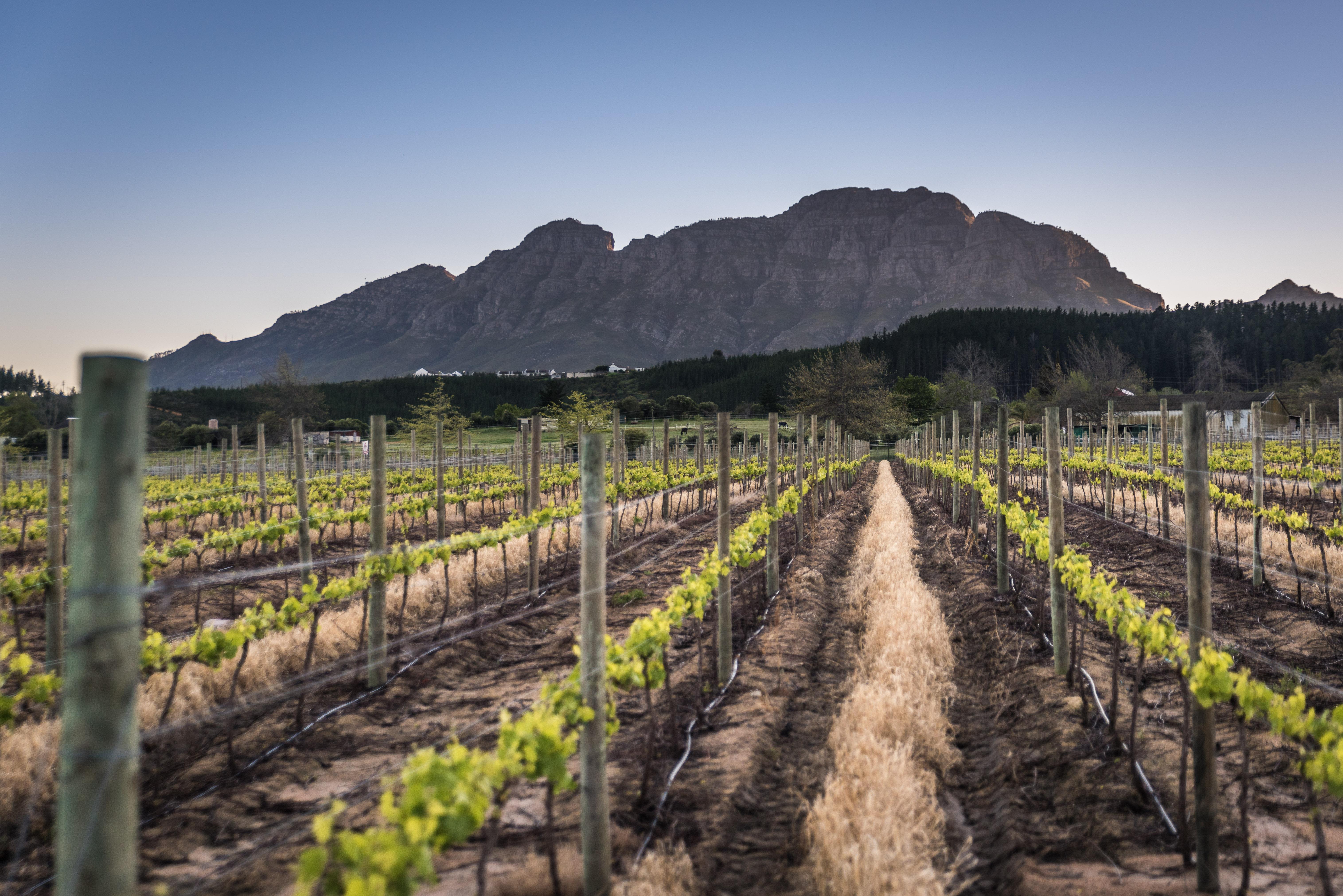 Lanzerac Hotel & Spa Stellenbosch Eksteriør bilde